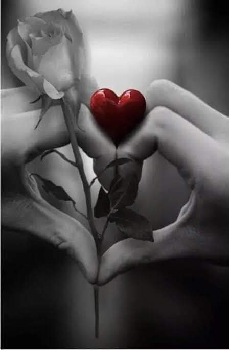 ���� ����_ORzOA