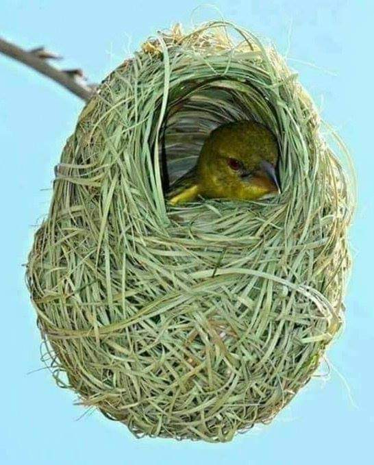 ���� ����_evqo6
